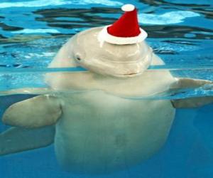 Puzzle Δελφίνι με καπέλο Άγιος Βασίλης